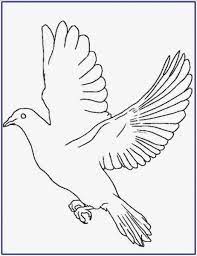 Kumpulan sketsa gambar mozaik bunga hal lucu dapat dari apa saja. Lukisan Burung Merpati Hitam Putih Cikimm Com