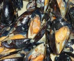 Epingle Sur Coquillages