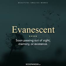 16 Beautiful Hindi Words That Ll Make You See The Language In A Whole New Light One Word Quotes Unusual Words Weird Words