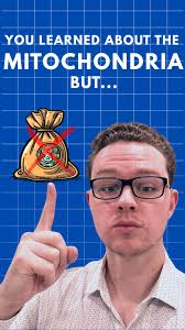 𝗬𝗼𝘂 𝘄𝗲𝗿𝗲 𝘁𝗮𝘂𝗴𝗵𝘁 𝗮𝗯𝗼𝘂𝘁 𝘁𝗵𝗲 𝗺𝗶𝘁𝗼𝗰𝗵𝗼𝗻𝗱𝗿𝗶𝗮,  𝗯𝘂𝘁 𝗻𝗼𝘁 𝗮𝗯𝗼𝘂𝘁 𝗺𝗼𝗻𝗲𝘆?, You sat through years of classes,  Memorized facts you’ve never used since Grade 9 biology, But no one showed  you how to save