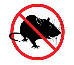 images?q=tbn:ANd9GcTfvmpG92586mdTHoWb6g3