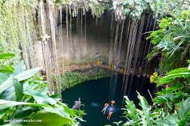 We did not find results for: Cancun Sehenswurdigkeiten Ausfluge Und Touren Planet Mexiko