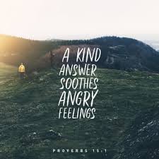 (2) the importance of turning away this anger. Proverbs 15 1 A Soft Answer Turns Away Wrath But A Harsh Word Stirs Up Anger New King James Version Nkjv Download The Bible App Now