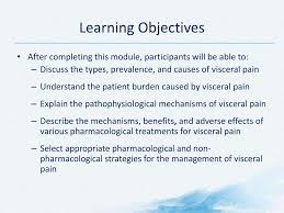 Learning Objectives After Completing This Module Participants Will Be Able To Discuss The Types Prevalence And Causes Of Visceral Pain Understand The Ppt Download
