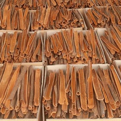 SPLIT CASSIA/CINNAMON – G'MEMBERS