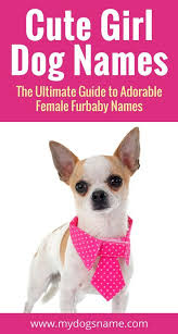 Tweet email send text message print. Names My Dog S Name Girl Dog Names Girl And Dog Cute Girl Dog Names