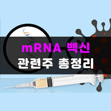 벨기에가 40세 미만 연령층에게 미 제약사 얀센(존슨앤드존슨,j&j)의 신종 코로나바이러스 감염증(코로나19) 백신 접종을 중단하겠다고 밝혔다. Mrna ë°±ì‹  ê´€ë ¨ì£¼ Top 9 ëŒ€ìž¥ì£¼ í…Œë§ˆì£¼ ì£¼ì‹ìŠ¤í† ì»¤