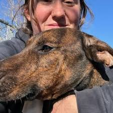 McDonald's food for dogs only?