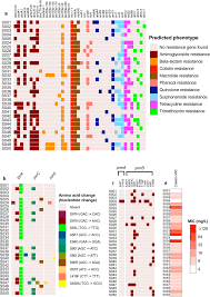 Antimicrobial Resistance Determinants Identified In The Genomes Of Download Scientific Diagram