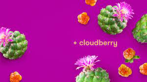 Online shopping a variety of best cactus gel at dhgate.com. Hydrating Cactus Cloudberry Water Gel Mask Freeman Beauty