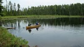 Tillicum Conservation Area Paddle