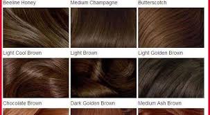 Jazzing Hair Color Chart Www Bedowntowndaytona Com