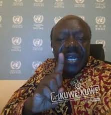 Below is the cv of the former kenyan politician. Bbi Is Bullshit Mukhisa Kituyi Ikuweikuwe Updates