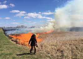 Beyond the sheer embarrassment of such a beginner food flop, burnt rice is a fairly expensive mistake. Why Do Farmers Burn Their Fields Harvest Public Media