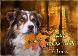 Cette version longue est construite sur un film et plusieurs documentaires autour de sujets de société. á… 81 Bon Apres Midi Images Photos Et Illustrations Pour Facebook Bonnesimages