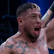 Adrián Cortés vs. Pedro Rubio, Lux Fight League 41