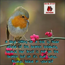 Bird Sitting On Branch Suckitupfitness On Instagram A Bird Sitting On A Tree Branch Is Never Afraid Of The Branch Breaking Not Because The Bi Fear Of Flying In The Tree Up Fitness