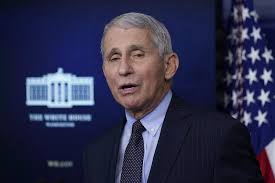 Amid the revelation of emails from dr. Children S Book On Dr Anthony Fauci Times Of India