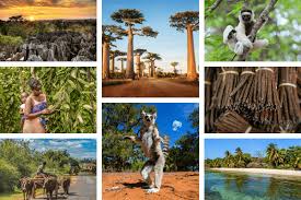 They are considered by every scientist as being a nature sanctuary as well as the cradle of endemic species of the island. Facts About Madagascar Geography Travel Madagascar For Kids
