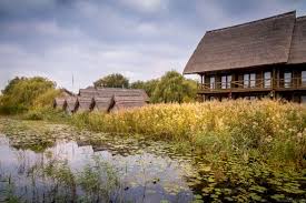 Rezerva acum o camera si evadeaza in inima deltei pentru o vacanta de vis! Cum Este La Green Village Resort Din Sfantu Gheorghe Delta Dunarii Razvan Pascu