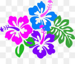 The best selection of royalty free bunga raya vector art, graphics and stock illustrations. Bunga Raya Png And Bunga Raya Transparent Clipart Free Download Cleanpng Kisspng