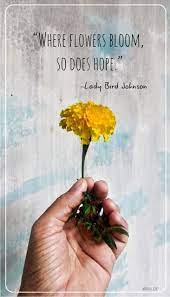 Where Flowers Bloom So Does Hope Flower Quote Bloom Caption For Flowers Flower Quotes Bloom Quotes