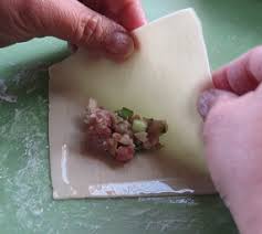 Shrimp Pork Wontons Recipe Wonton Recipe How To Make Wontons How To Fold Wontons Pumpkin Ravioli Pork Wonton Recipe Wonton Wrapper Recipes