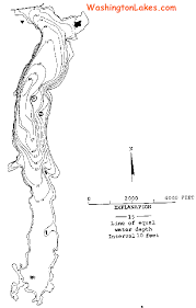 Silver Information Nwfr