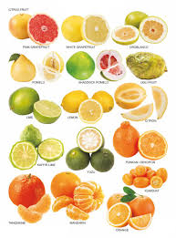 Citrus Fruit Chart Fruit List Fruit Citrus Fruit List