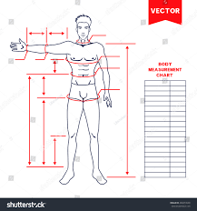 Bodybuilding Measurement Chart 2019