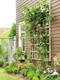 How to make garden trellis climbing. Wonderful Diy Trellises For Climbing Plants My Desired Home