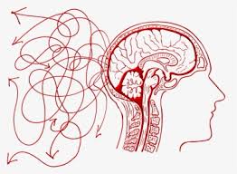 Even if you're totally artistically impaired, you can still become the picasso of your generation. Nervous System Diagram Drawing Hd Png Download Transparent Png Image Pngitem