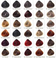 hair dye sample chart