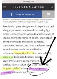 Mugwort Pollen Black Pepper Allergy Oral Allergy Syndrome Pollen Allergies