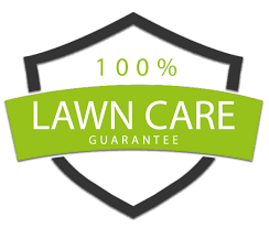It sleeps during the cold winter months and wakes up early in the spring. Lawn Care Service Arlington Tx Superior Lawnscapes