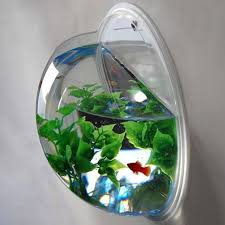 Wall Mounted Fish Bowl Aquarium Hiconsumption Fish Bowl Plant Decor Fish Tank
