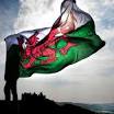 red dragon Wales flag from www.walesonline.co.uk