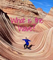 What is the Wave? - There's MORE To SEE!!! - Tattling Tourist