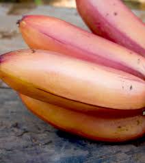 Nenthiram palam recipe in tamilnenthiram chips making in tamilnentrhiram chips making setp by step procedure. 9 Red Banana Benefits And How They Are Different From Yellow