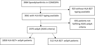 Human leukocyte antigens (hlas) are proteins that help the body's immune system tell the difference between its own cells and foreign. Role Of Hla B27 In The Comorbidities Observed In Axial Spondyloarthritis Data From Comospa Sciencedirect