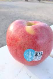 There are 326 suppliers who sells apple replacement pink rose on alibaba.com, mainly located in asia. Pacific Rose Apple Eat Like No One Else