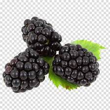 7 فواكه تعطي جسمك 6 فوائد مذهلة. Blackberry ÙØ§ÙƒÙ‡Ø©