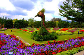 Taman yang berada pada luas 190 hektar ini memiliki berbagai koleksi bunga, bahkan hingga jutaan bunga. Taman Bunga Nusantara Indahnya Warna Warni Bunga Di Taman Tetangga Lovely Bogor
