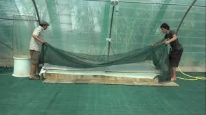 Merci à robin pour la présentation en français et en italien. Culture De La Spiruline Low Tech Lab