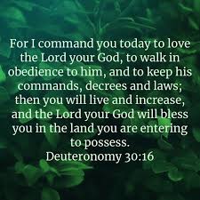 Pin By Ellen Clodfelter On Positive Inspirational Quotes Quotes Inspirational Positive Love The Lord Bible Apps