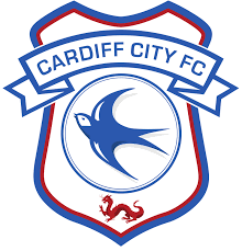Rotherham united vs cardiff city: Cardiff City Vs Rotherham United At Cardiff City Stadium On 08 05 21 Sat 15 00 Football Ticket Net