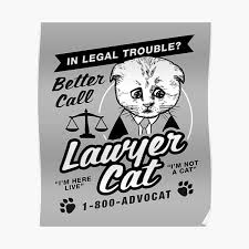 But a virtual courtroom hearing took it to a whole other level in a. Lawyer Cat Posters Redbubble