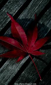 1920x1080 hd wallpapers windows 10 free to download for your mobile, computer. Cool Wallpapers Hd For Mobile Download Zendha