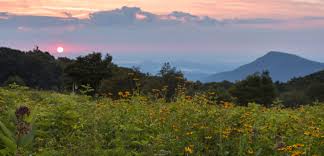 Check spelling or type a new query. Summer In Shenandoah Shenandoah National Park U S National Park Service
