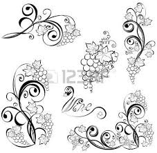grapevine isolated on a white wine design elements wine design vine design grape vines